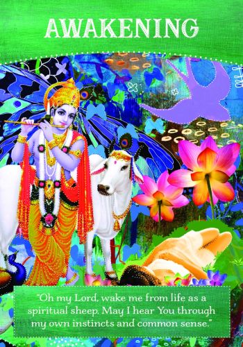 Divine Abundance Oracle Cards - A 52-Card Deck - 3