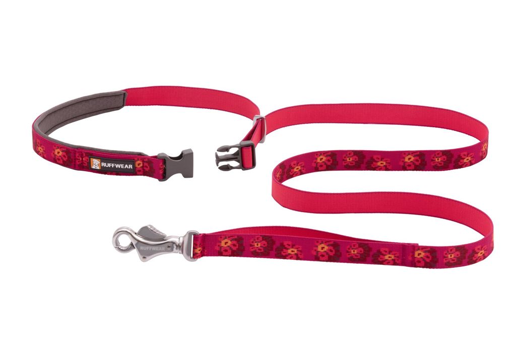 Ruffwear Flat Out Leash 2021 Alpenglow Burst PETSTER