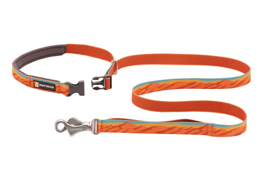 Ruffwear Flat Out Leash 2021 Fall Mountains PETSTER