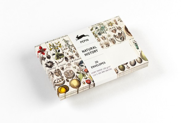 Natural History, C6 Envelopes