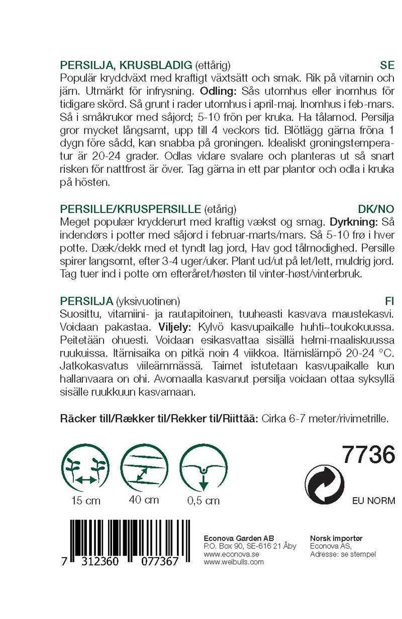7736 Persilja krus snabbgroende   Petroselinum crispum - 2