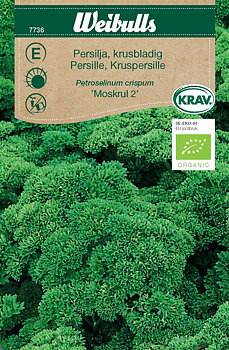 7736 Persilja krus snabbgroende   Petroselinum crispum