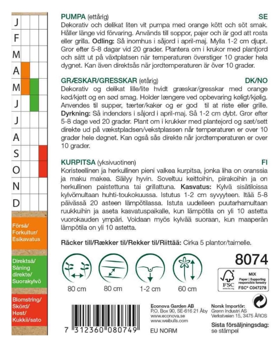 8074 Pumpa KRAV   Cucurbita pepo - 2