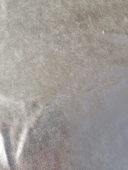 24-N-TR-Silver