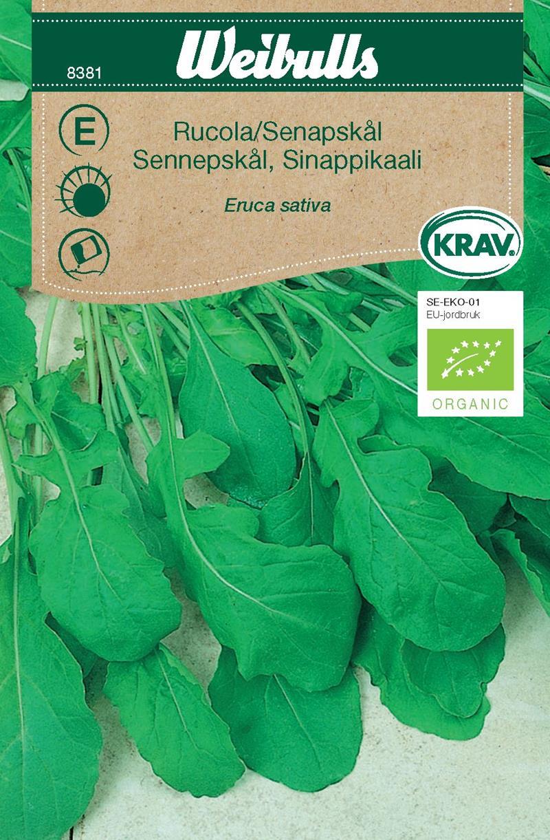 8381 Rucola/Senapskål, KRAV   Eruca sativa