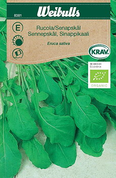 8381 Rucola/Senapskål, KRAV   Eruca sativa