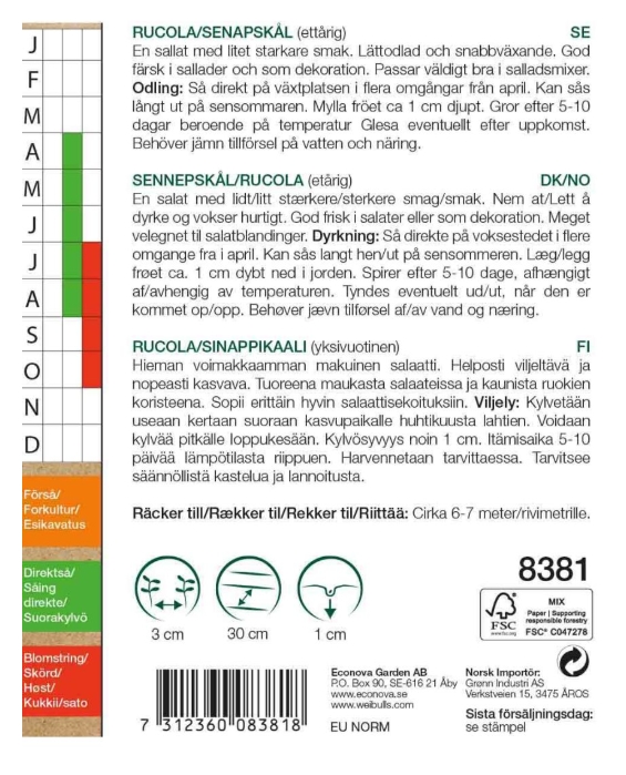 8381 Rucola/Senapskål, KRAV   Eruca sativa - 2
