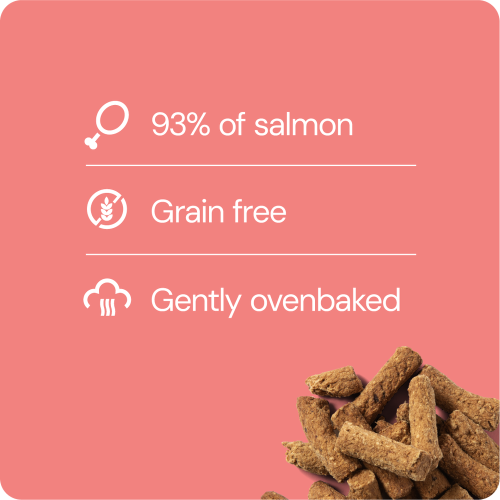 RAUH Salmon treats 100g - 2