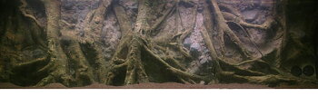 Rockzolid - Tropical Forest Tree 198x58cm 3-delad