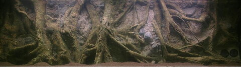 Rockzolid - Tropical Forest Tree 198x58cm 3-delad