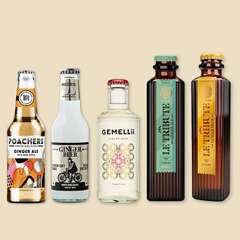 Ginger Beer & Ale mix 14-pcs