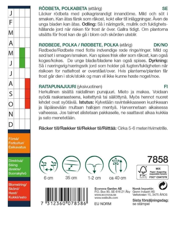 7858, Rödbeta Chioggia Polkabet (röd / vit)   Beta vulgaris - 2