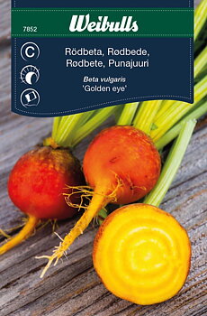 7852 Rödbeta, gul   Beta vulgaris