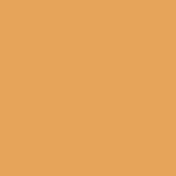 COLLEGE - DARK GOLD (075)