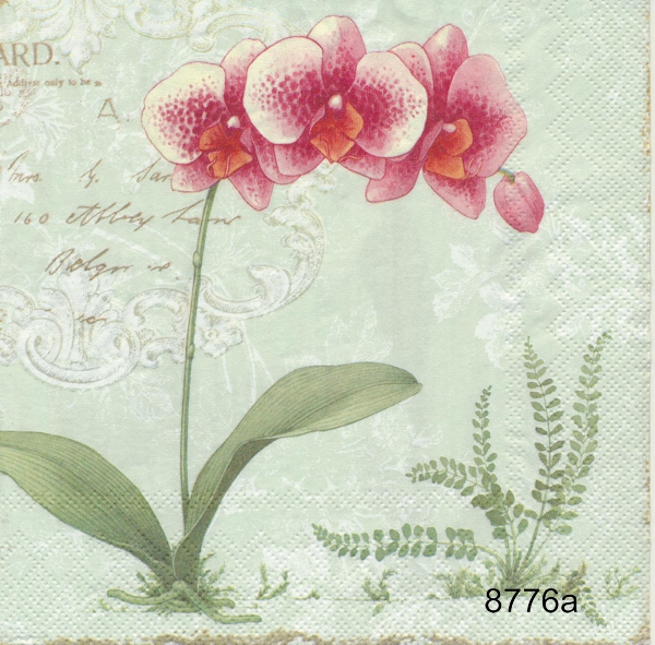 Orkide´(olika motiv)