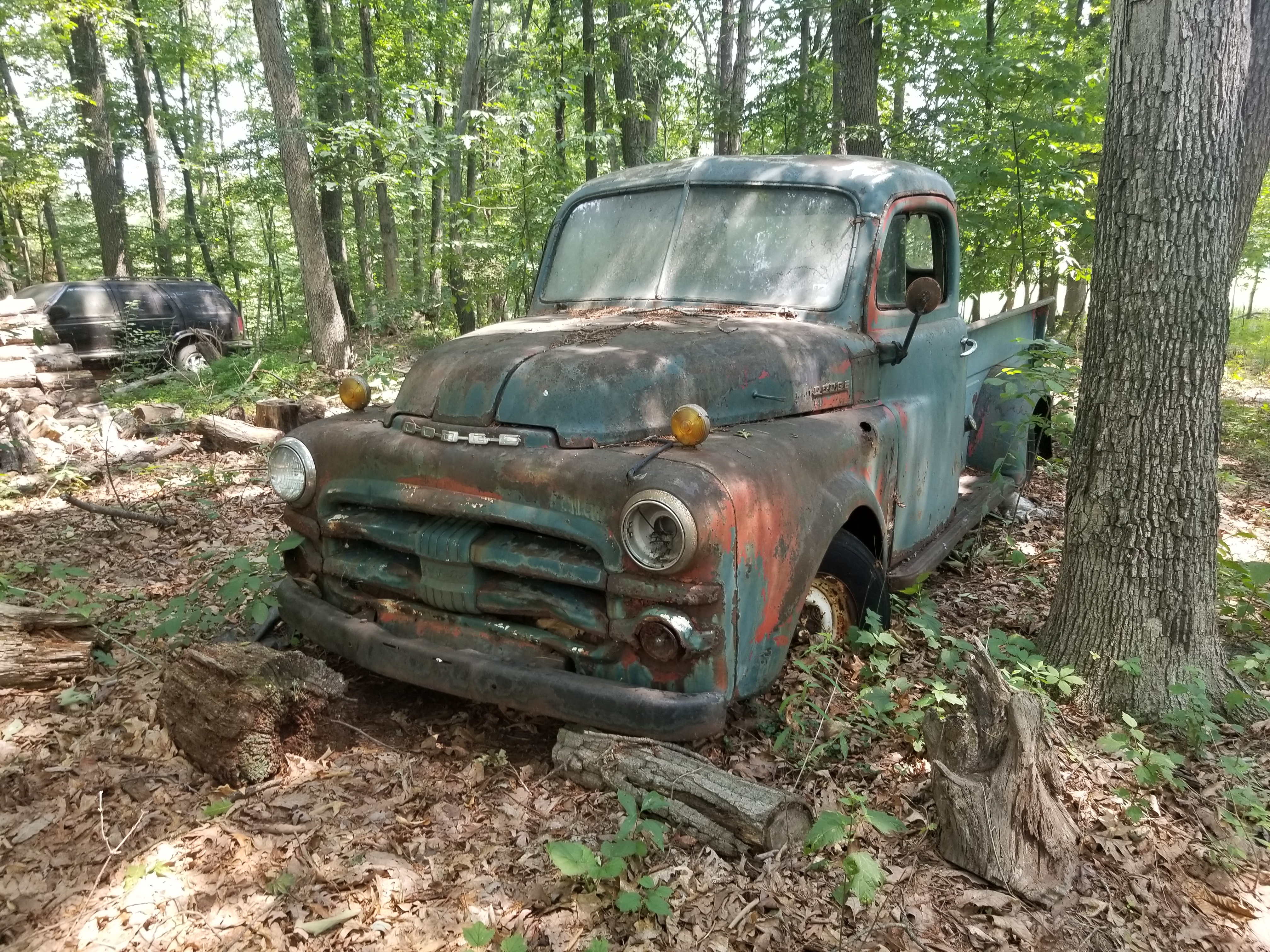 1951-53 Dodge Pickup B3B - 2