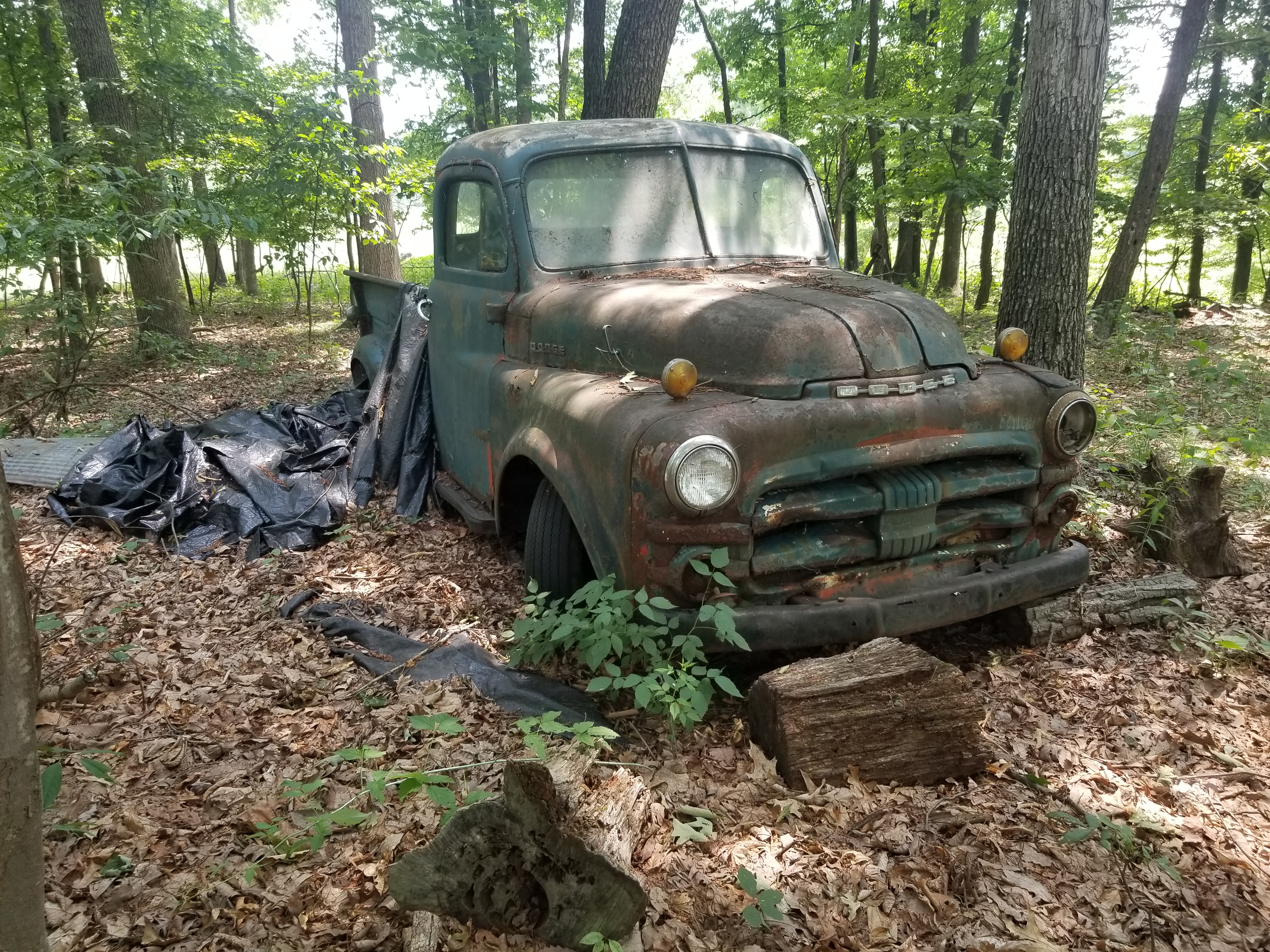 1951-53 Dodge Pickup B3B
