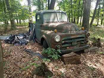 1951-53 Dodge Pickup B3B