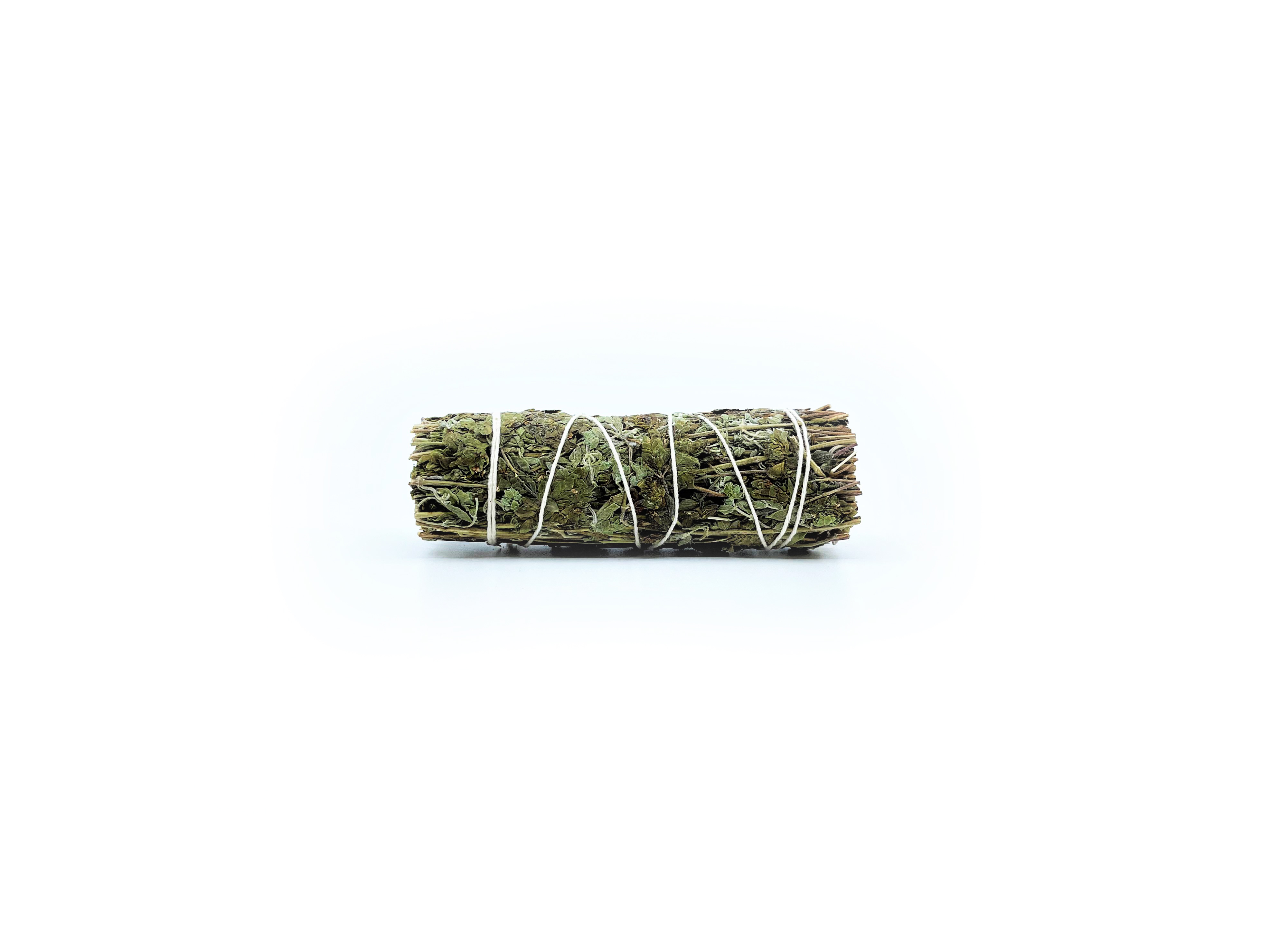Oregano Bunte (Origanum vulgare)