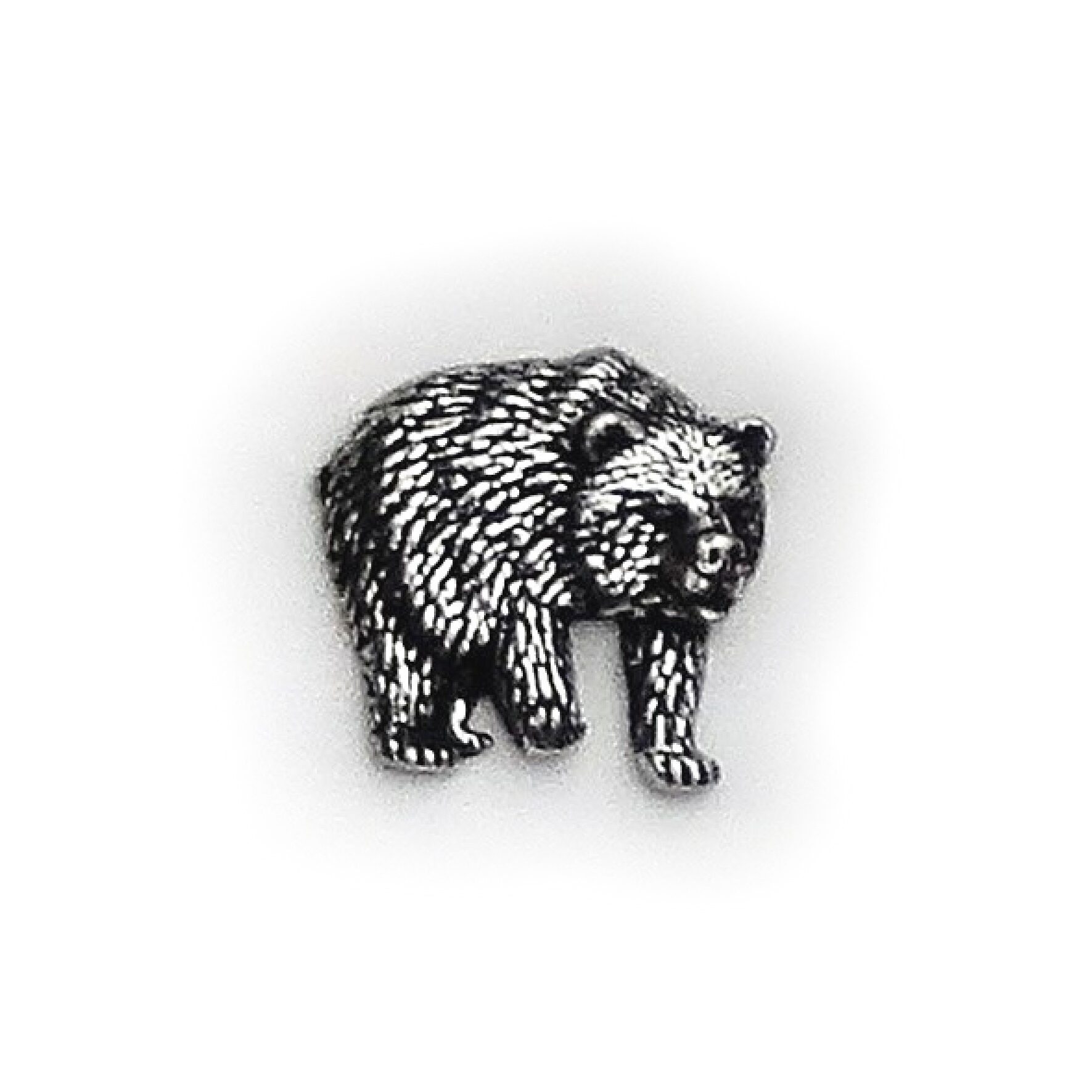 PIN Björn