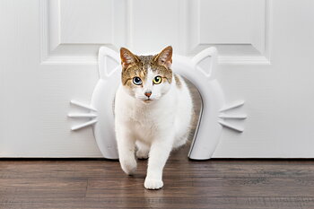 PetSafe Cat corridor - for indoor use  
