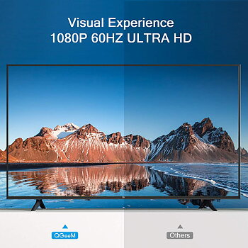  QGeeM DP till VGA