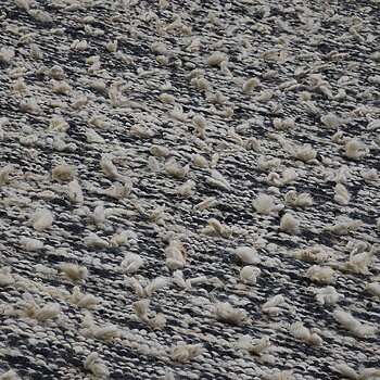 Woolly Rug by kateha