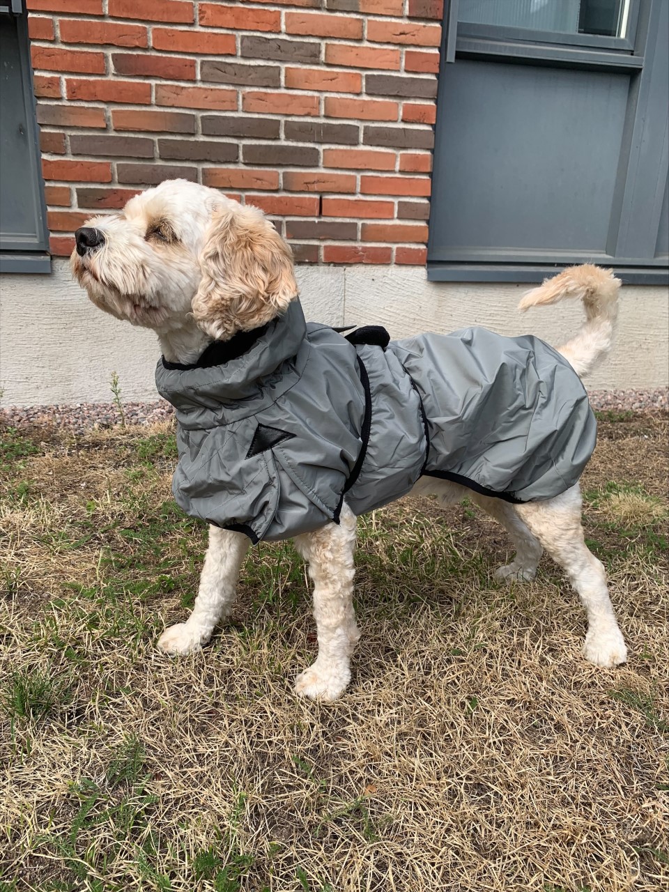 KONG Nor'easter Warm Reflective Blanket Dog Jacket All Weather Coat Sizes XS-XL 
