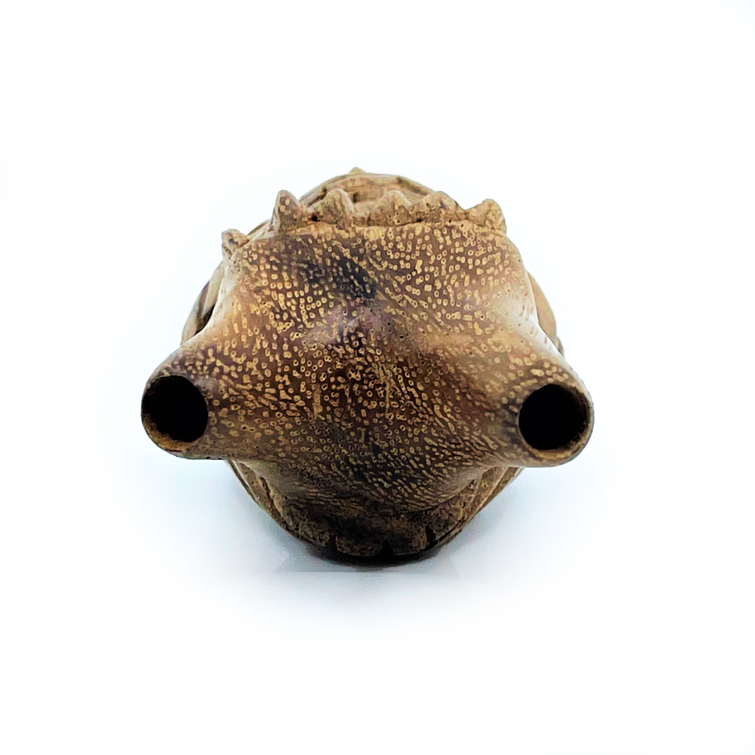 Owl Kuripe - Suar Wood - 4
