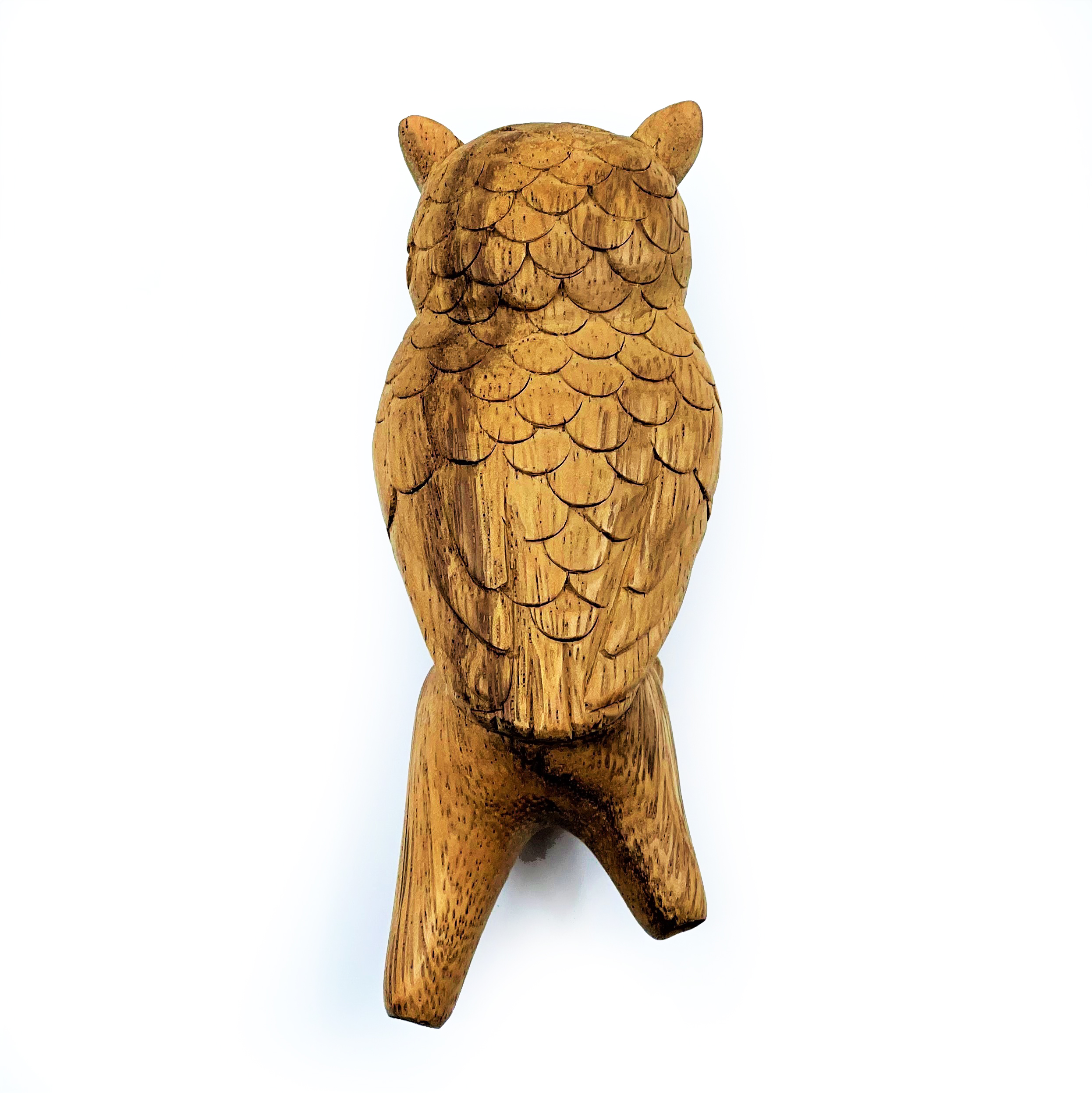 Owl Kuripe - Suar Wood - 3