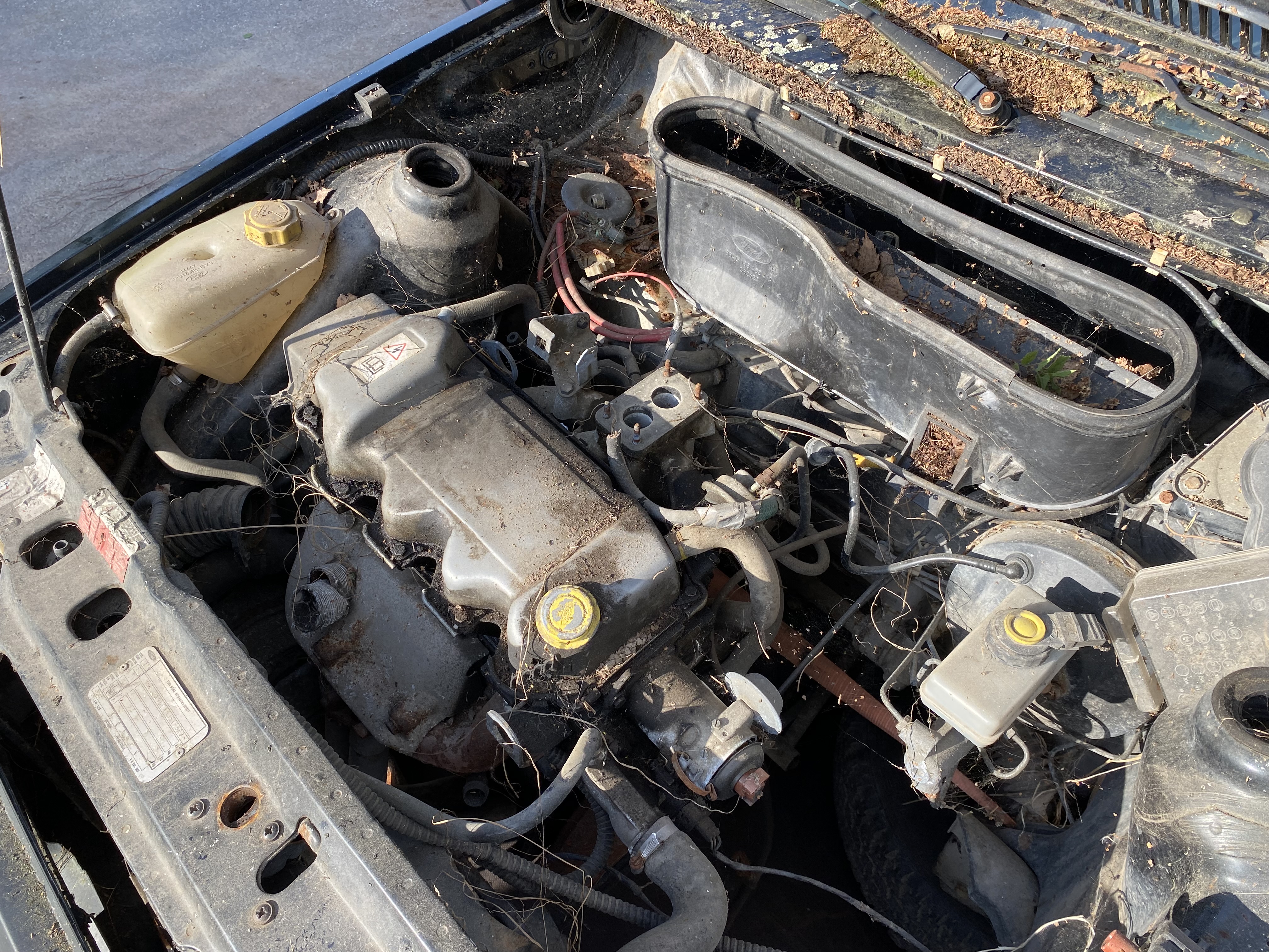 Ford Escort Laser - Reservdelsbil (säljes i delar) - 8