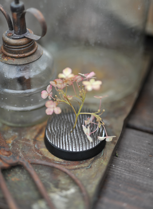 Flower Fakir - Fakir - Ø 7 cm - 2