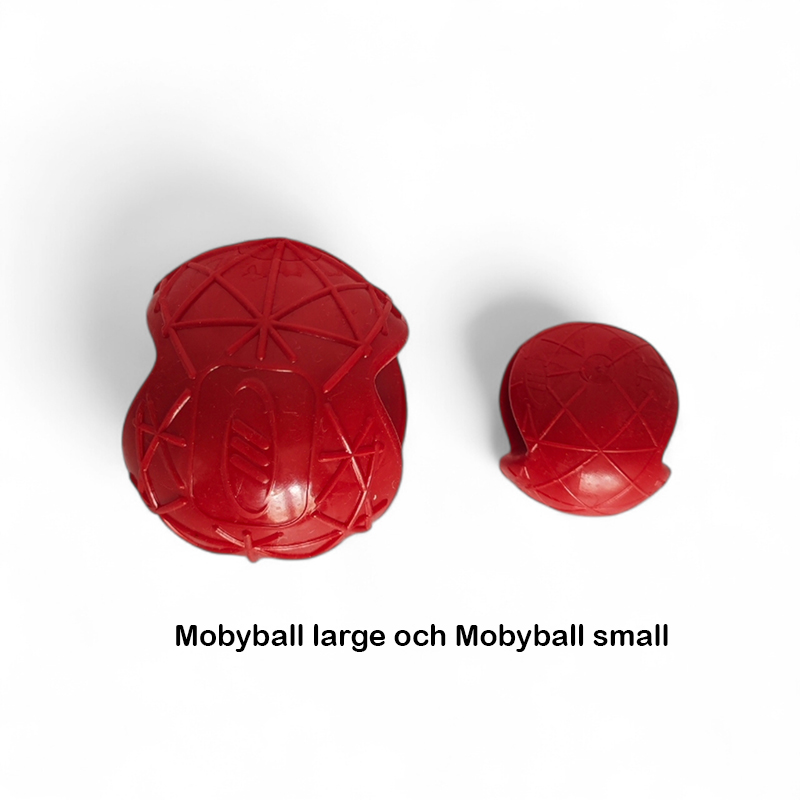 Ball with bungee, custom made - 14