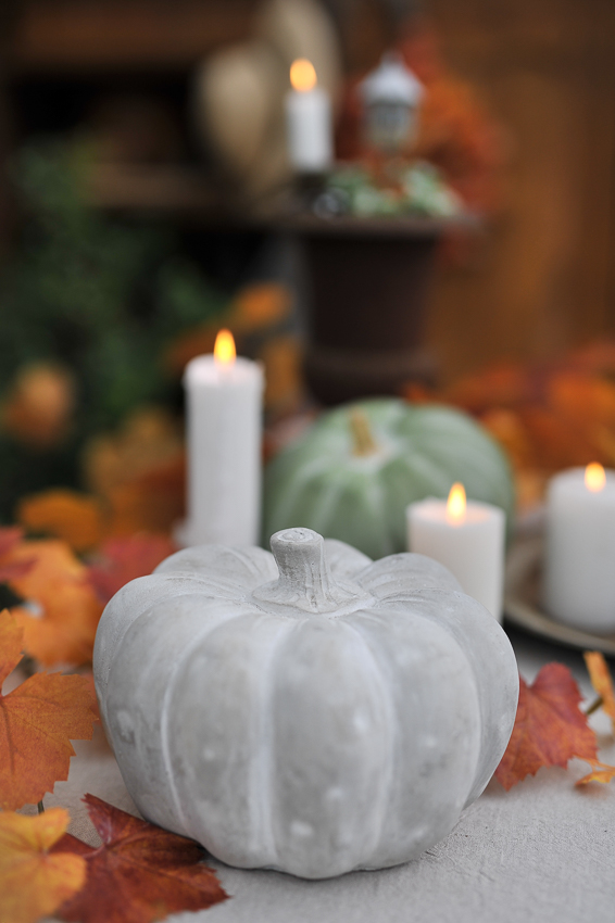 Pumpkin - Grey - Concrete