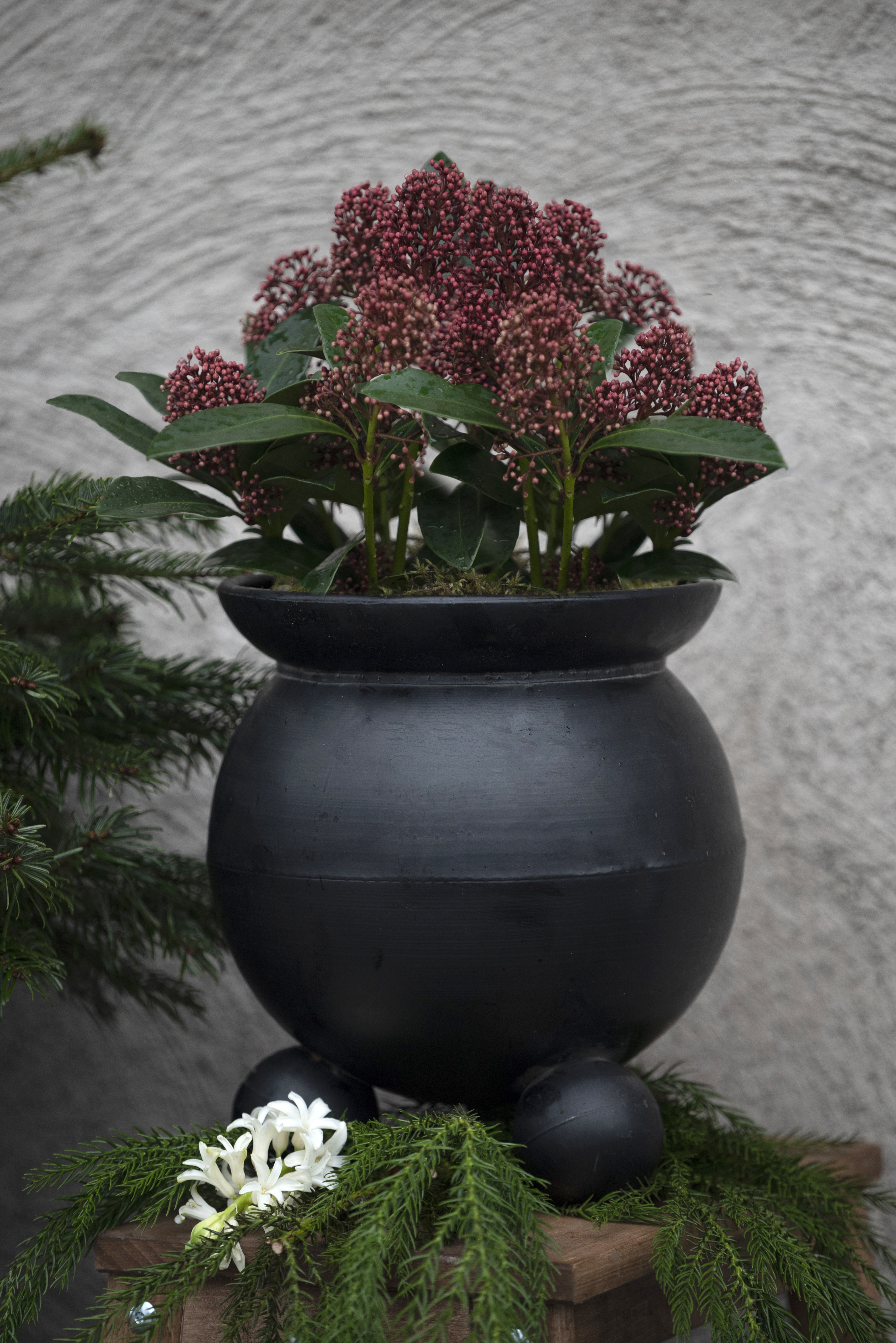 Pot with ball feet - Black - 15x20 cm - 5