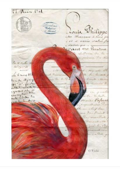Kort med kuvert Flamingo
