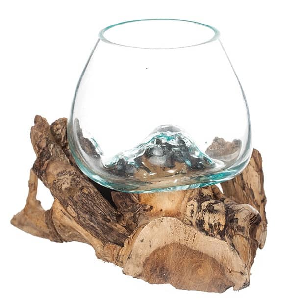 Skål i glas på trädrot