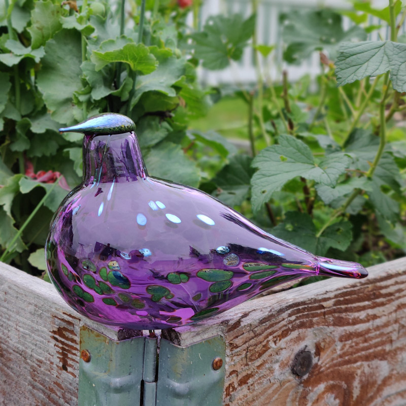 Ametist fågel ur serien Birds by Toikka  från Iittala - 2