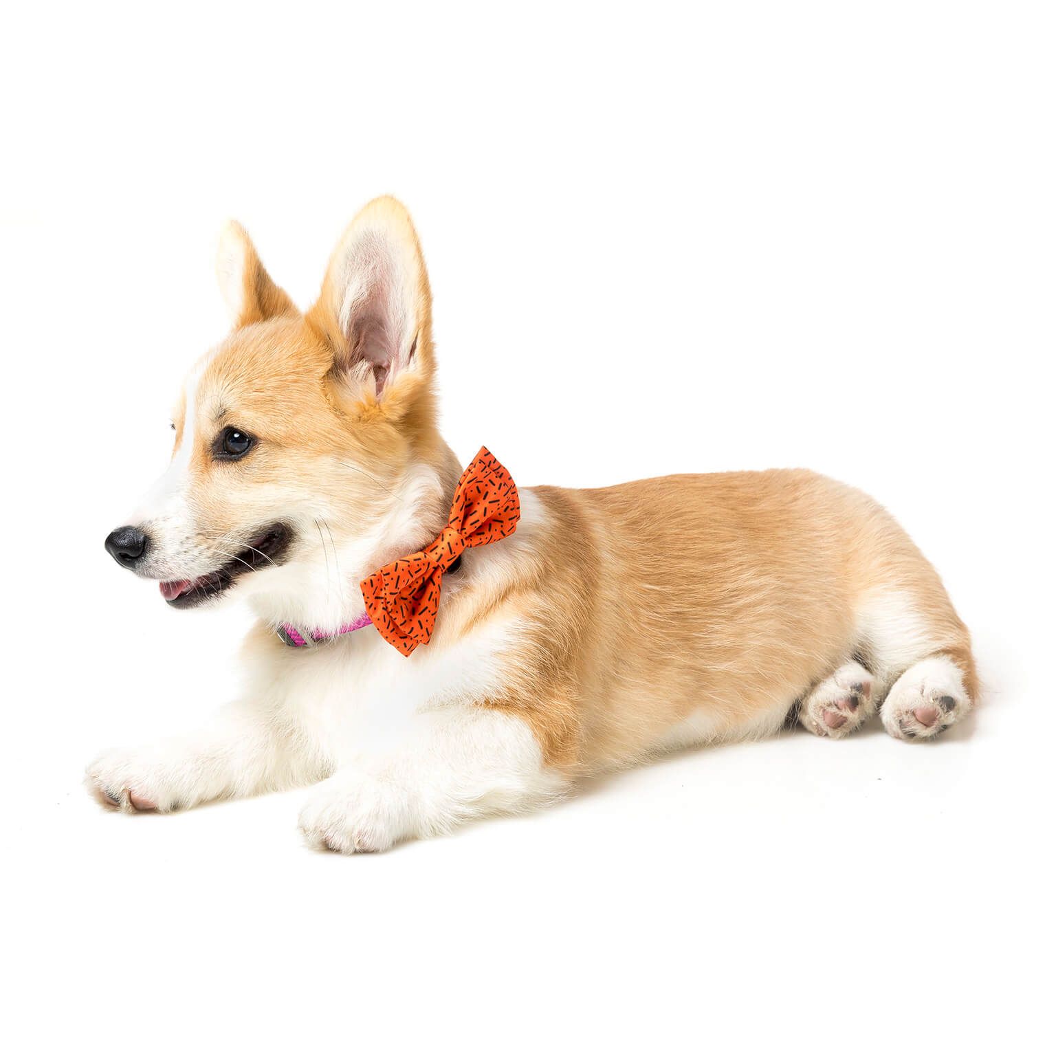 FuzzYard Hundfluga Orange Safari Large - 3