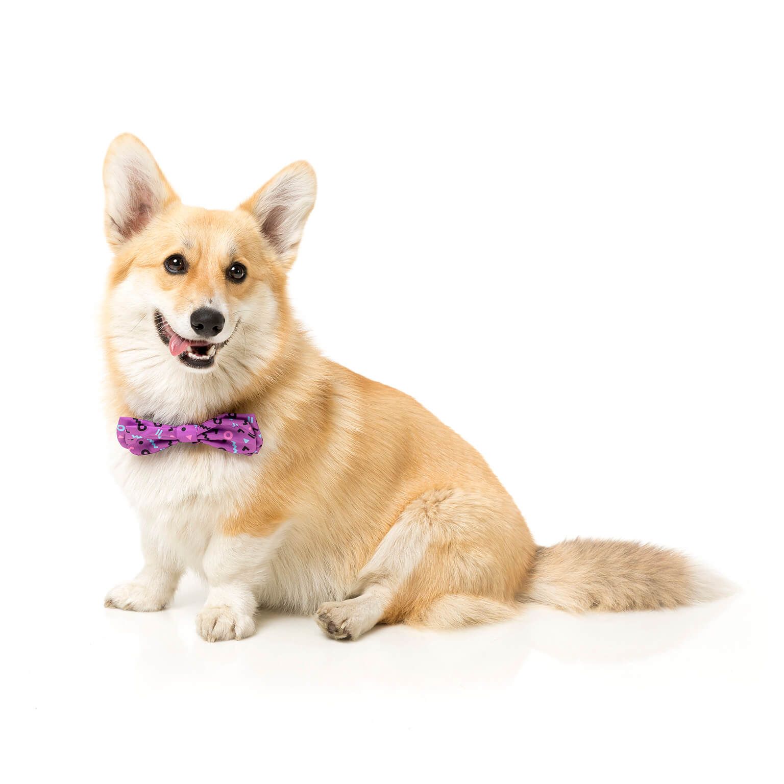 FuzzYard Hundfluga Prince Large - 2