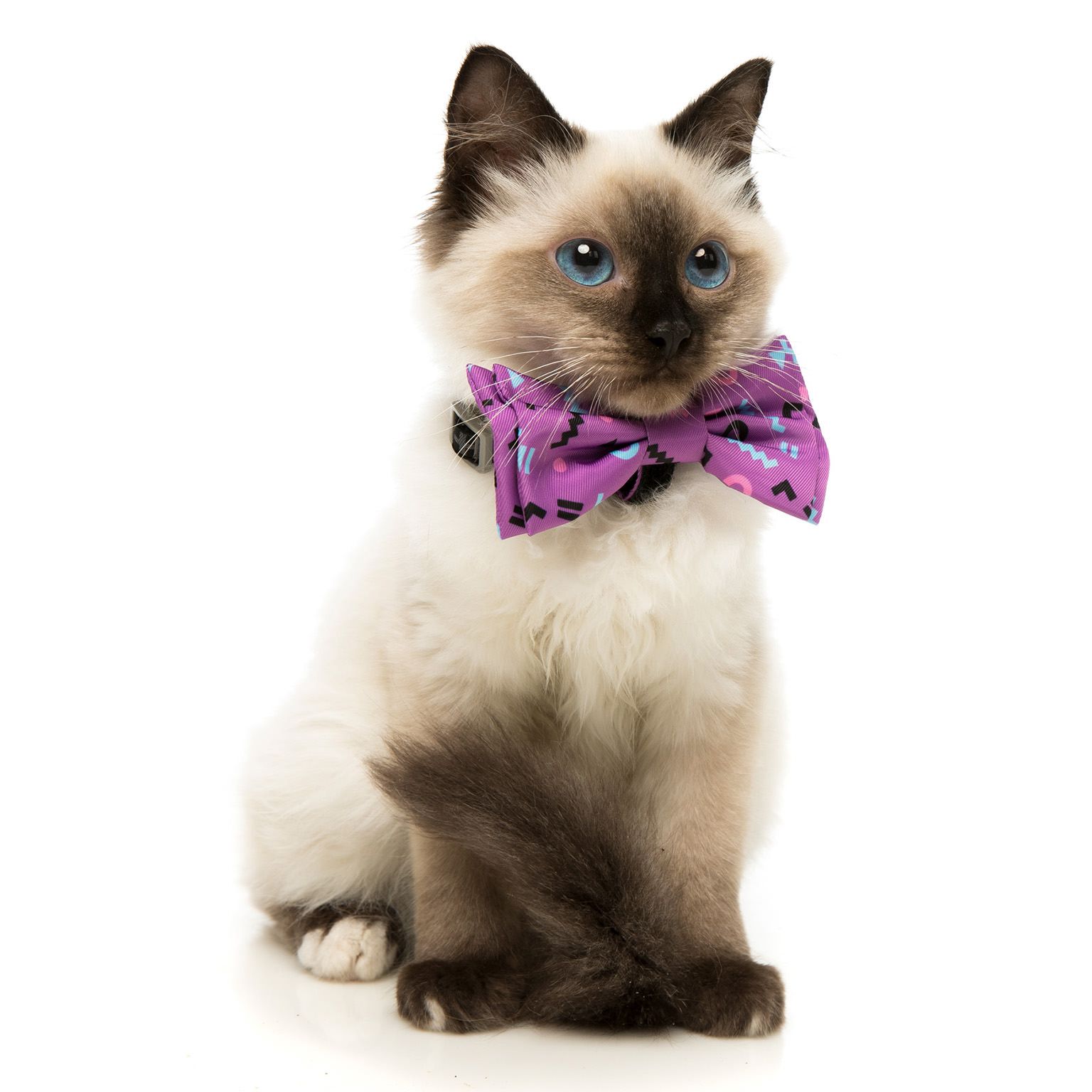 FuzzYard Hundfluga Prince Large - 3