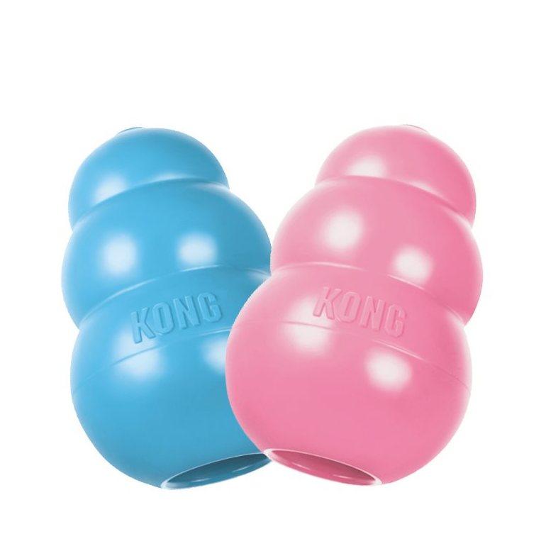 Kong Puppy