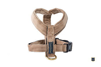 Gustaf & Evita Hundsele Pro Sammet Mocca