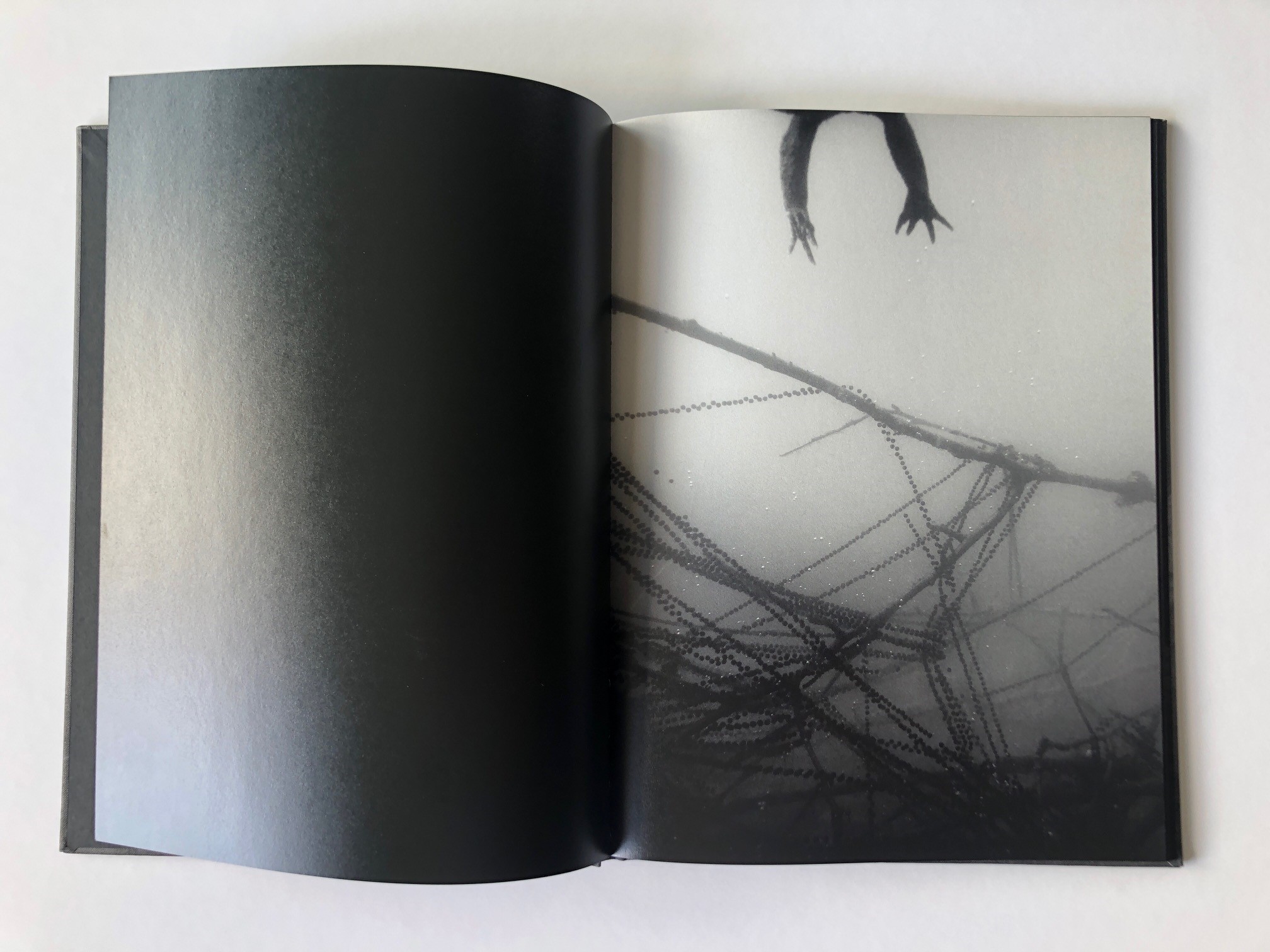 Malin Gezelius  - Amplexus - 7