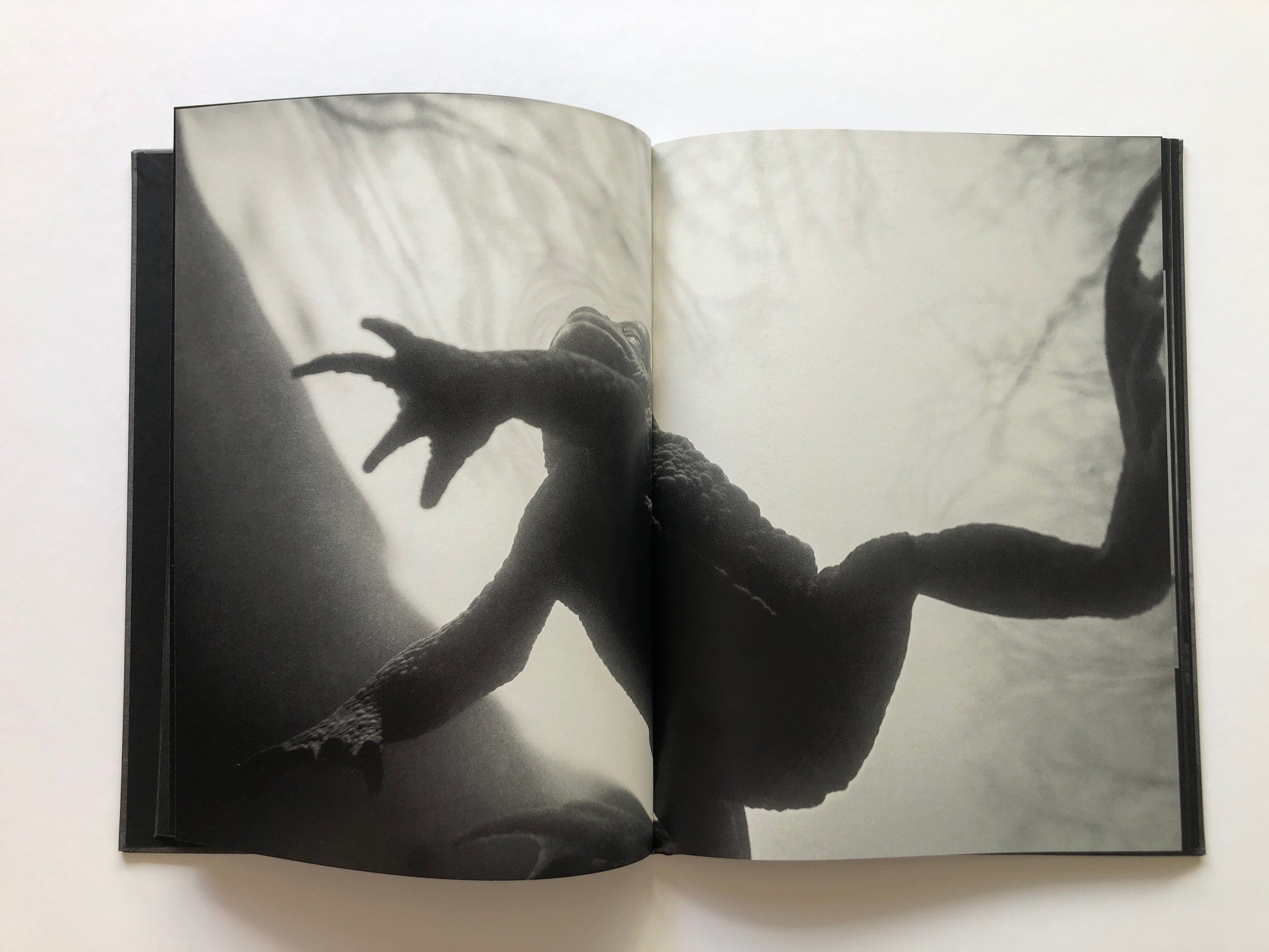 Malin Gezelius  - Amplexus - 5