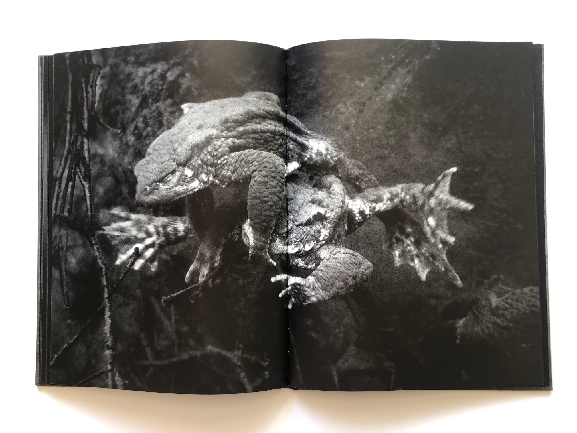 Malin Gezelius  - Amplexus - 2