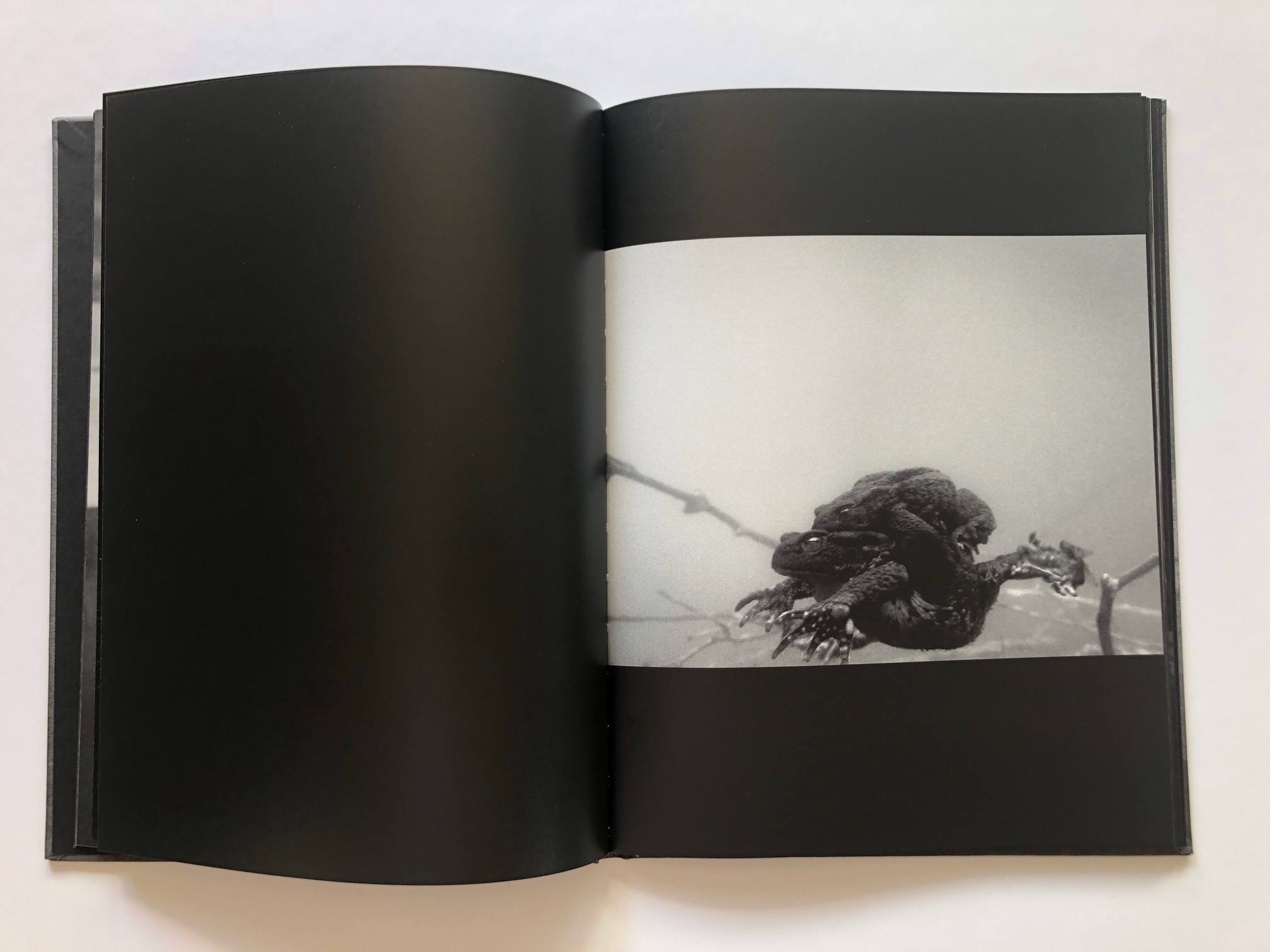 Malin Gezelius  - Amplexus - 6