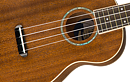 Fender Zuma Concert Ukulele, Natural, WN