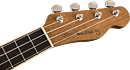 Fender Zuma Concert Ukulele, Natural, WN