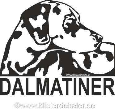 Dalmatiner